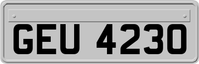 GEU4230