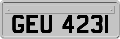 GEU4231