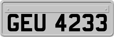 GEU4233