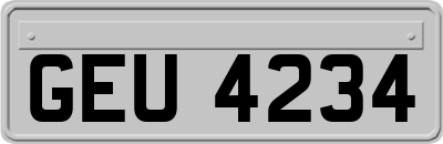 GEU4234