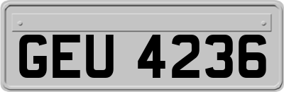 GEU4236