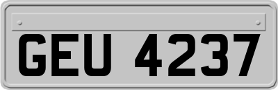 GEU4237