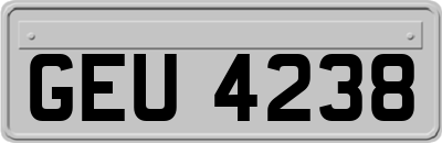 GEU4238
