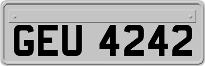 GEU4242