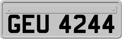 GEU4244