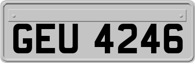 GEU4246