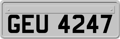 GEU4247