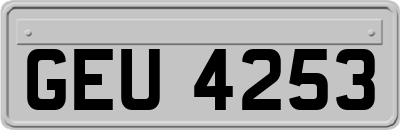 GEU4253