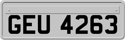 GEU4263