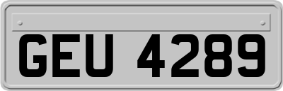 GEU4289