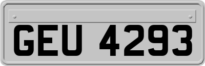GEU4293