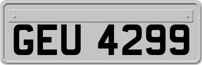 GEU4299