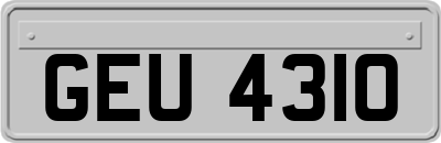 GEU4310