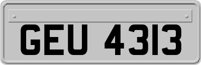 GEU4313