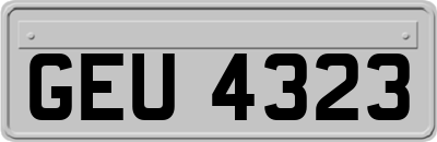 GEU4323
