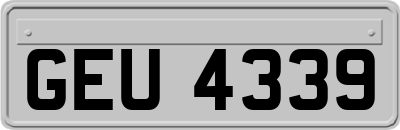 GEU4339