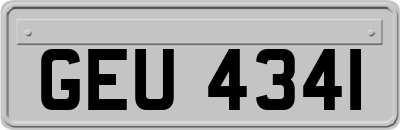 GEU4341