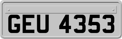 GEU4353