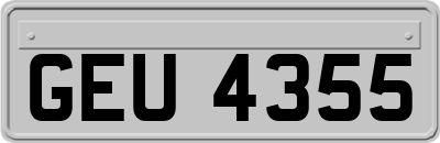 GEU4355