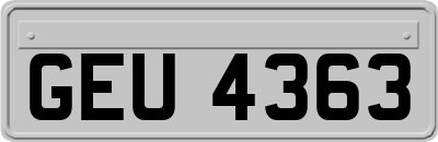 GEU4363