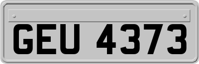 GEU4373