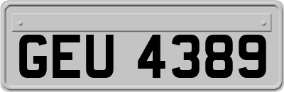 GEU4389