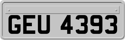 GEU4393
