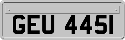 GEU4451