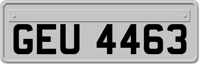 GEU4463