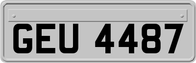 GEU4487