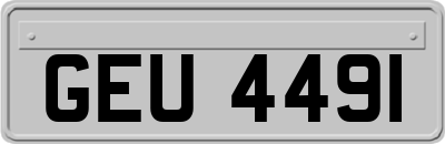 GEU4491
