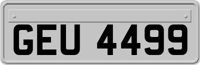 GEU4499