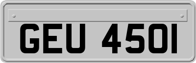 GEU4501