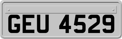 GEU4529