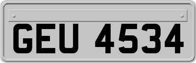 GEU4534