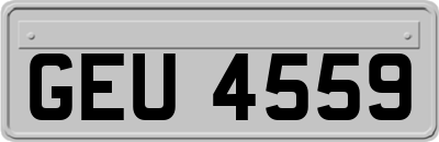 GEU4559