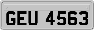 GEU4563