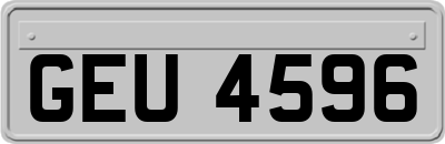 GEU4596