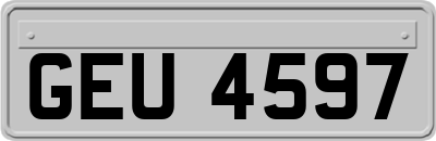 GEU4597