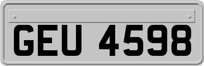 GEU4598