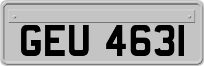 GEU4631