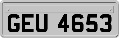 GEU4653