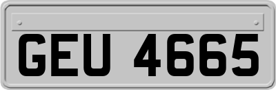 GEU4665