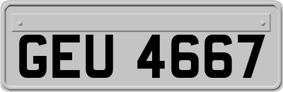 GEU4667