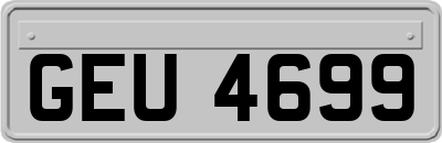 GEU4699