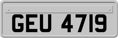 GEU4719