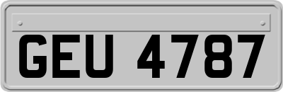 GEU4787