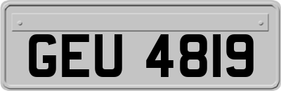 GEU4819