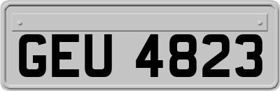 GEU4823