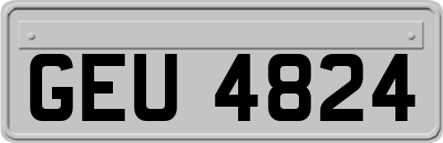 GEU4824